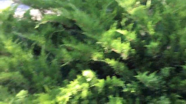 Почему люди отписываются Аллюр Краснодар