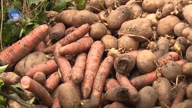 Мусор в лесу смотреть онлайн