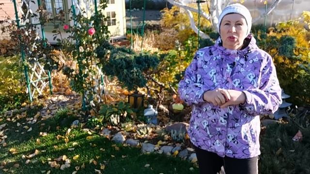 По следам призыва Ивана Русских- спилить или оставить МОЖЖЕВЕЛЬНИК? смотреть онлайн