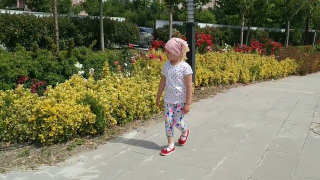 #Yasamvadesi#Istanbul#Beylikduzu Самый большой парк в Стамбуле/ Живые рыбы и черепахи водные смотреть онлайн