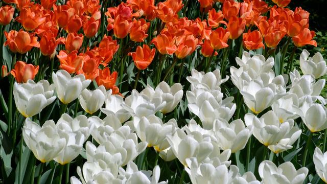 8 марта 2023 г. смотреть онлайн