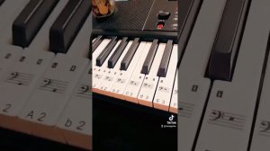 Наклейки на клавиши синтезатора