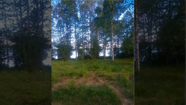 Продажа участка 15 сот. (ИЖС). Собственник. 8 (910) 930-69-95 Иван