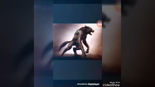 История оборотней смотреть онлайн