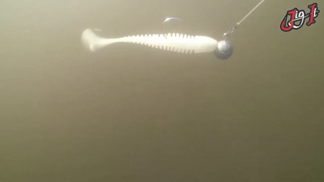 Серия Snoop. Силиконовые приманки JIG IT смотреть онлайн