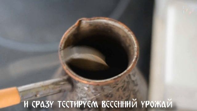 Кофейный напиток из корней ОДУВАНЧИКА смотреть онлайн