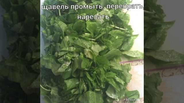 Крем-суп или суп-пюре из щавеля смотреть онлайн