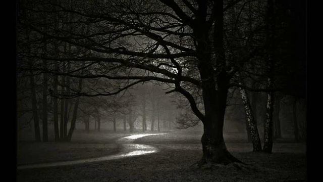 Niyameddin Musayev - Mugam