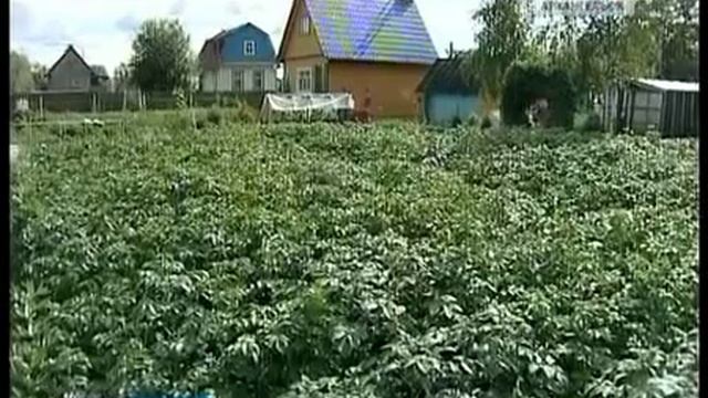 С 1 марта действуют новые правила земельного Кодекса смотреть онлайн