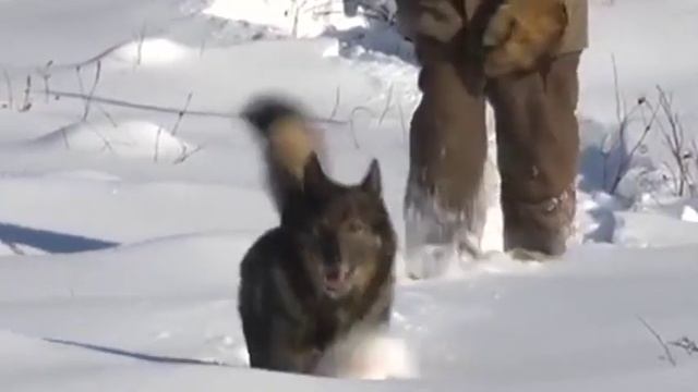 "Рок-острова" - "Белое безмолвие" смотреть онлайн