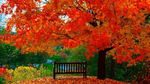 Осень ( ТЕСТОВЫЙ РОЛИК ) смотреть онлайн