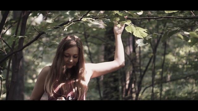The Woods | Cinematic video | Sony a6000 + Sony 50mm f1.8 OSS Lens смотреть онлайн