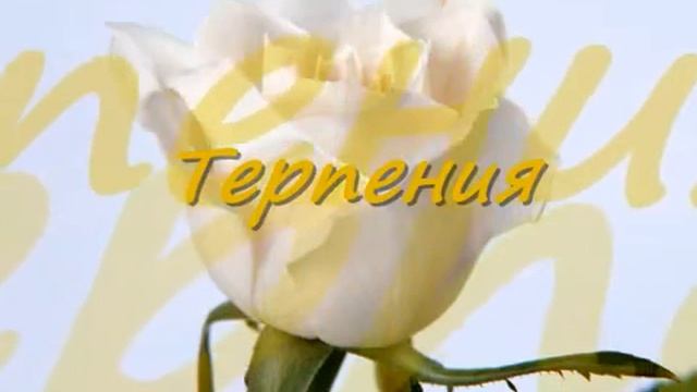 С Днём рождения, Лидия! смотреть онлайн