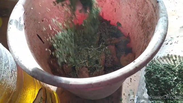 у кур не воняет, а ПАХНЕТ. кормушка для цыплят. лекарство для кроликов. Agriculture village life смотреть онлайн