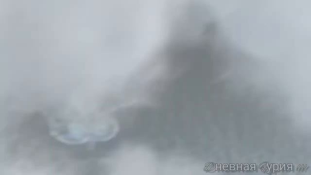 Беззубик/Нейротоксин ( мини-клип) смотреть онлайн