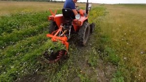 Минитрактор Уралец 220 - Суровые испытания картофелекопалки