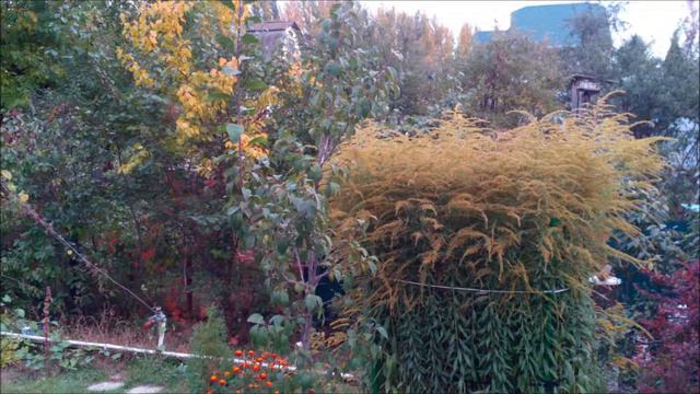 Хорошо на даче и осенью смотреть онлайн