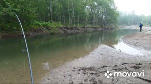 Сима! Рыбалка ? на реках Сахалина.