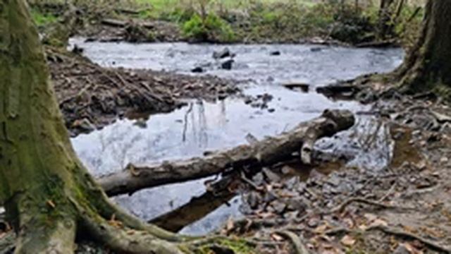 Звук ручья для отдыха, учебы, релаксации и сна. Звуки природы чтобы расслабиться и уснуть. Релакс. смотреть онлайн