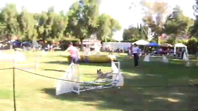 Ken AKC Agility JWW Nov6 2010 Walnut, CA смотреть онлайн