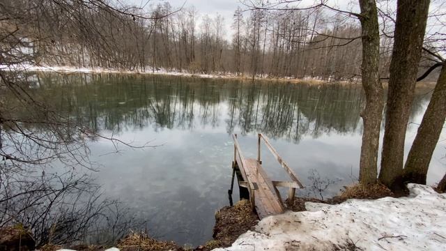 Собачьи приключения смотреть онлайн