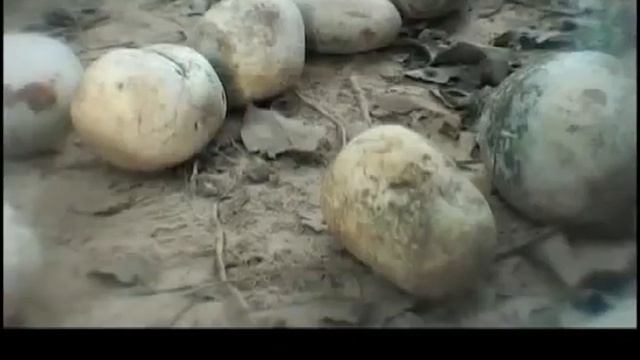 Khard Jao Nai Van Nee avi AMBITION смотреть онлайн