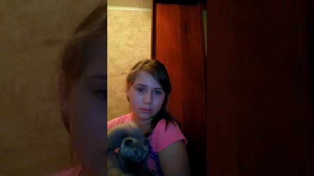 краткое содержание о моей кошке смотреть онлайн