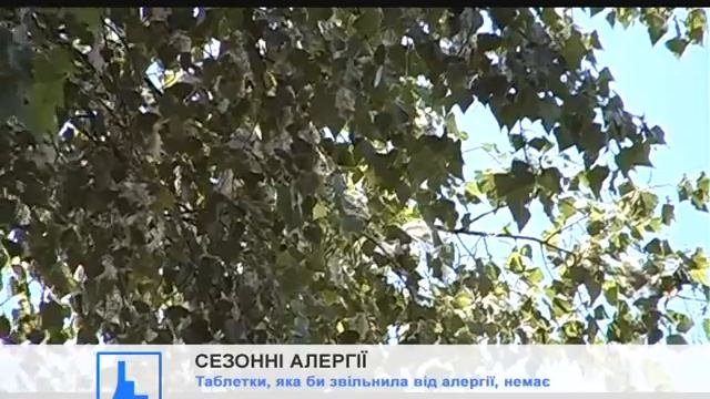 Медики застерігають: Прийшов час сезонних алергій смотреть онлайн