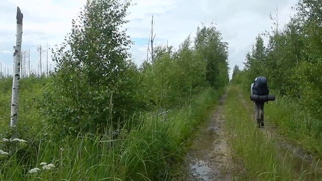 По бывшей УЗКОКОЛЕЙКЕ "УЖД ГППЖТ". 20 ЛЕТ НАЗАД ЗДЕСЬ ЕЩЁ ХОДИЛИ ПОЕЗДА. Озеро Пустое и Камское смотреть онлайн