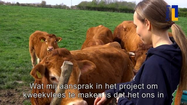 Burger van kweekvlees voor koningspaar смотреть онлайн