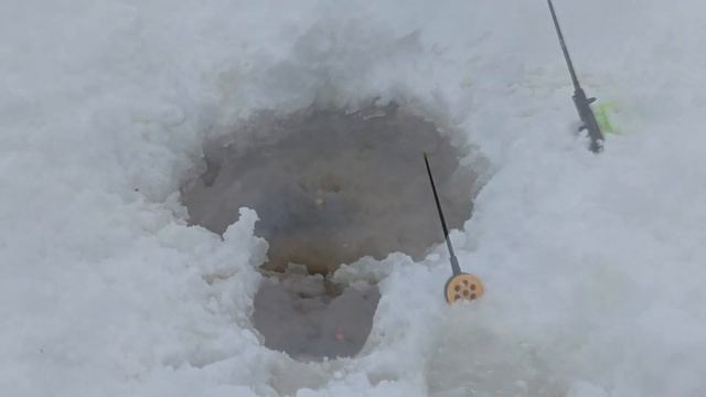 Аффигеть!!!!Огромная щука на жерлицу в марте Селигер смотреть онлайн