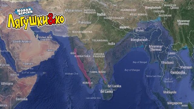 Deagostini Лягушки и Ко МАЛАБАРСКАЯ ЛЕТАЮЩАЯ ЛЯГУШКА Деагостини распаковка Liska Show смотреть онлайн