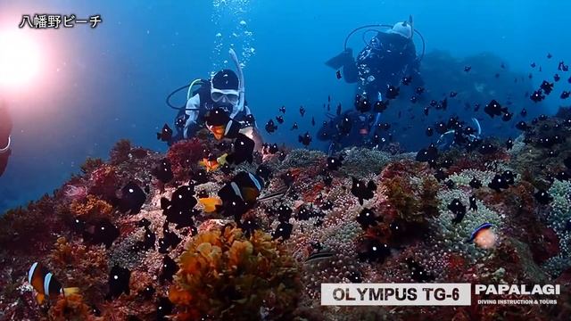 【水中世界】TG-6でフォトダイバー смотреть онлайн