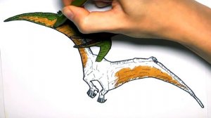 Рисуем и раскрашиваем Птеродактиля из Парка Юрского периода - Раскраски с динозаврами для детей