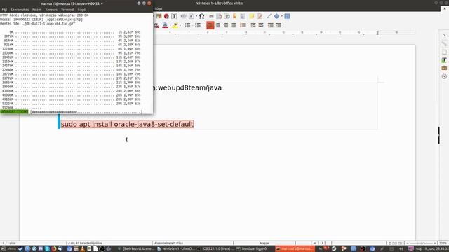 Java Ubuntu 18.04 смотреть онлайн