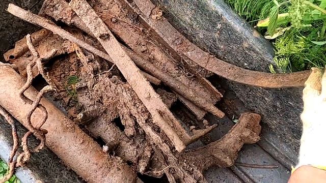 #МЕТАЛЛОКОП НА МТС, МНОГО МЕТАЛЛА И ЦЕНА РАДУЕТ! смотреть онлайн