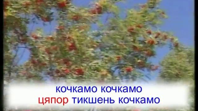 «Адядо, ялгат, розь паксяв» - муз. и сл. народные. Караоке по-мордовски. смотреть онлайн
