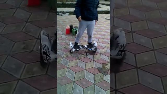 Гироскутер тест драйв смотреть онлайн