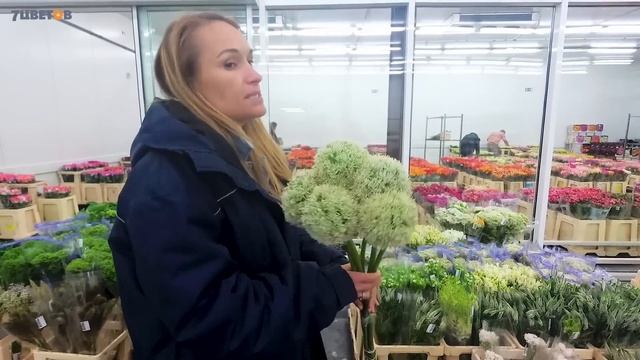 Супер-хит сезона - гвоздика Лайт Молли, аллиум и протеи / Обзор срезанных цветов с Ольгой Шаровой смотреть онлайн