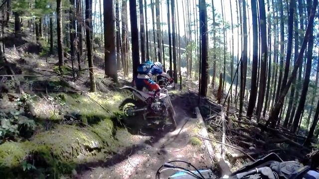 CANADIAN HARD ENDURO! Cross Training Enduro смотреть онлайн