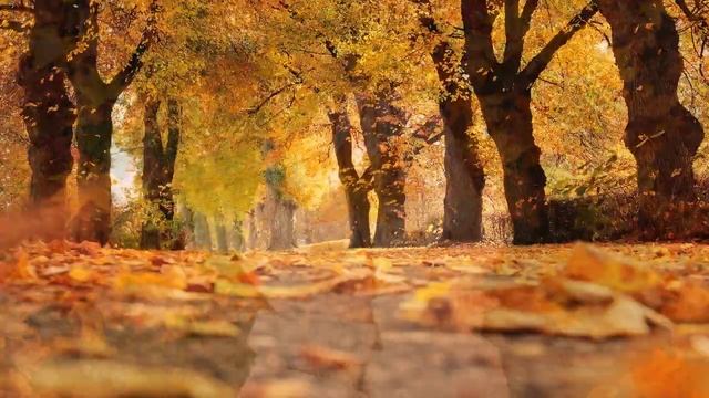 Pričamo vam priču (interpretacija pjesme) - "List na putu", Šukrija Pandžo смотреть онлайн