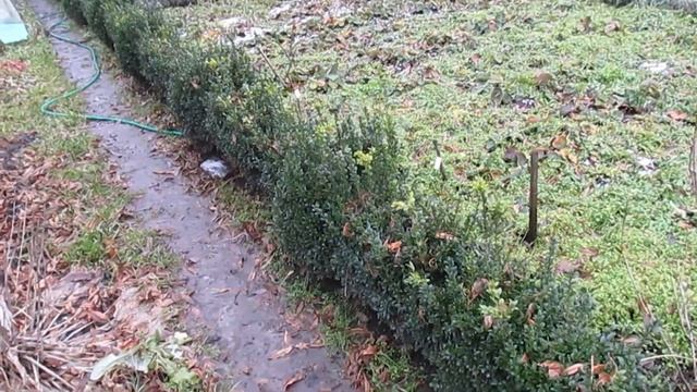 ВСЯ ПРАВДА О МОЕЙ ДАЧЕ. Чем увлекаюсь, что планирую. смотреть онлайн