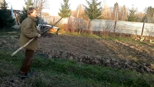 Загон свиньи (часть 2) смотреть онлайн