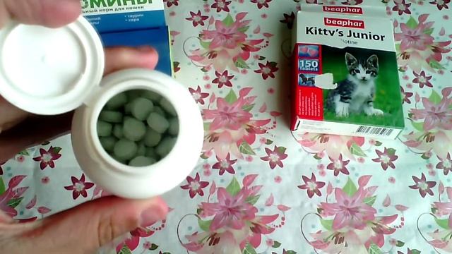 Отзывы о зоотоварах/фавориты Кузи за июнь-июль смотреть онлайн