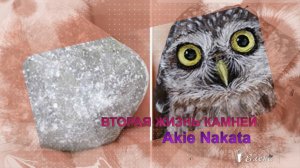 Камням - вторая жизнь *         Художник Akie Nakataа