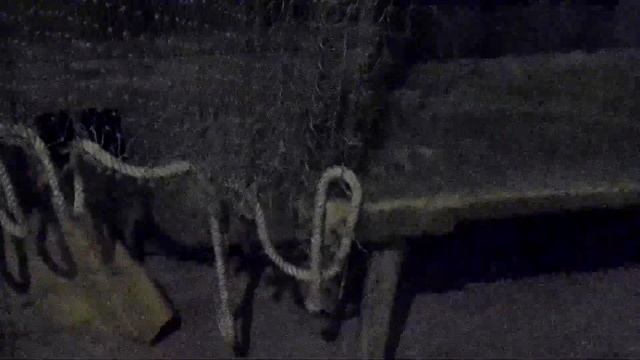 9 октября 2020г Малые Корелы дача под Архангельском смотреть онлайн