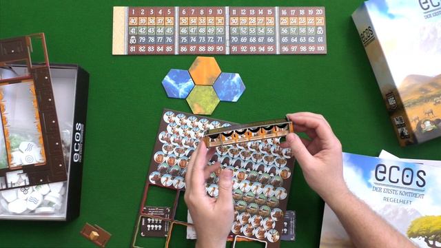Знакомство с настольной игрой 