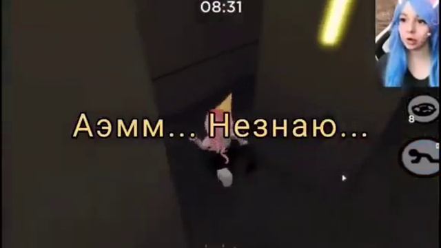 Кошка Лана и Йоши Ах ты смотреть онлайн