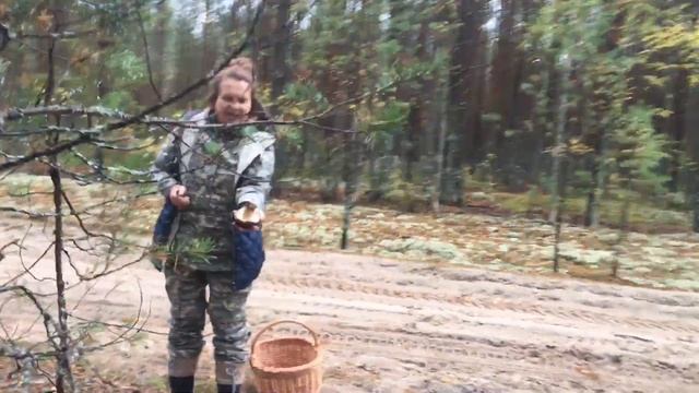 Нижегородская область, боровики 2018 смотреть онлайн