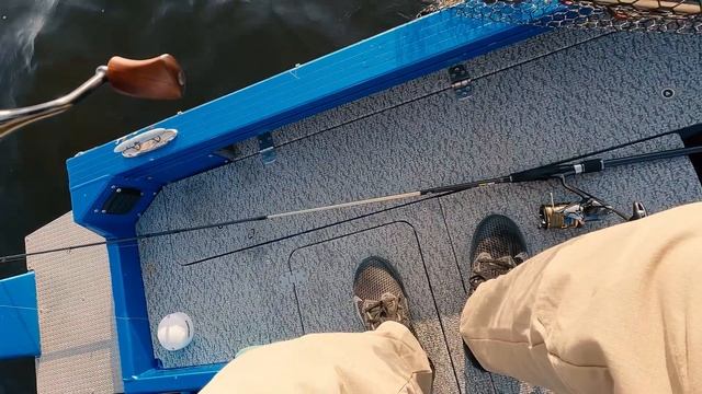 Супер рыбалка на судака. Новый рекорд с Panoptix LiveScope